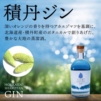 ジン 北海道 積丹 酒 蒸溜酒 アルコール 火の帆 KIBOU BLUE GIN 500ml 4本