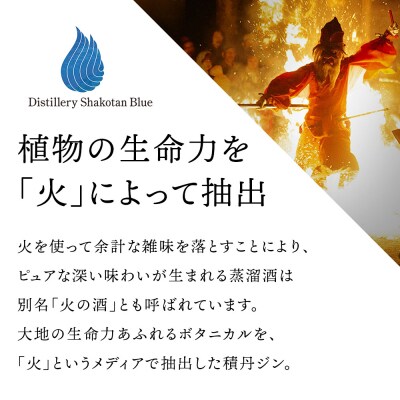 ジン 北海道 積丹 酒 蒸溜酒 アルコール 火の帆 KIBOU GIN 100ml 2本