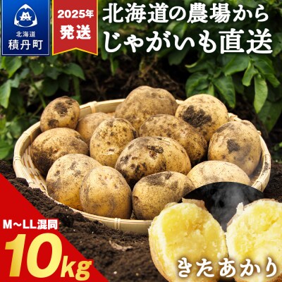 【2025年発送】数量限定 期間限定 じゃがいも 10kg 北海道 きたあかり ジャガイモ 芋 いも