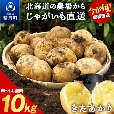 【2025年発送】数量限定 期間限定 じゃがいも 10kg 北海道 きたあかり ジャガイモ 芋 いも