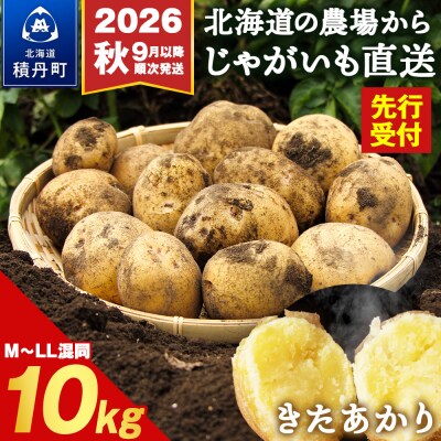 【先行受付 2026年9月より順次発送】北海道積丹町産 じゃがいも きたあかり10kg 栗じゃが