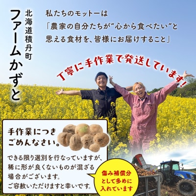 【先行受付 2026年9月より順次発送】北海道積丹町産 じゃがいも きたあかり10kg 栗じゃが