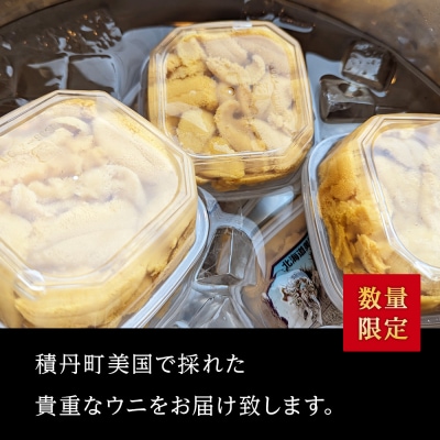 【期間限定】美国産雲丹40g ミニウニ丼サイズ 北海道 ウニ うに　「8/24決済分まで年内発送」