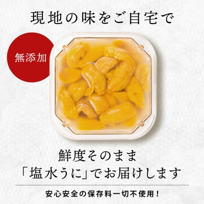 【2026年夏発送分】数量限定!積丹産 塩水生ムラサキウニ×2パック