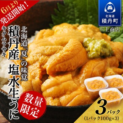 【2027年夏発送分】数量限定!積丹産 塩水生ムラサキウニ3パック