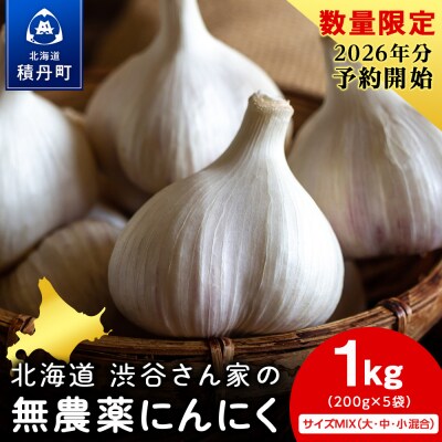 2026年分予約開始! 【数量限定】渋谷さん家の「無農薬 にんにく MIXサイズ 200gx5袋」