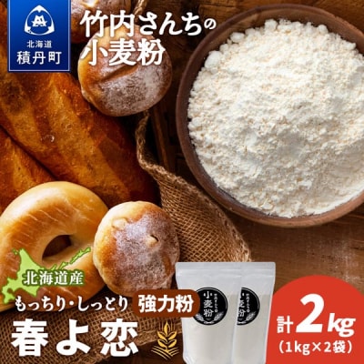 竹内さんちの小麦粉 北海道 春よ恋 1kg×2袋 小分け袋 