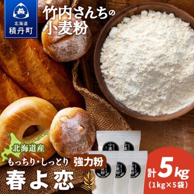 竹内さんちの小麦粉 北海道 春よ恋 1kg×5袋 小分け袋 