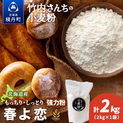 竹内さんちの小麦粉 北海道 春よ恋 2kg×1袋 