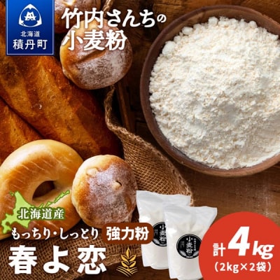 竹内さんちの小麦粉 北海道 春よ恋 2kg×2袋 