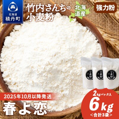 竹内さんちの小麦粉 北海道 春よ恋 2kg×3袋 
