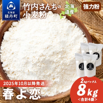 竹内さんちの小麦粉 北海道 春よ恋 2kg×4袋 