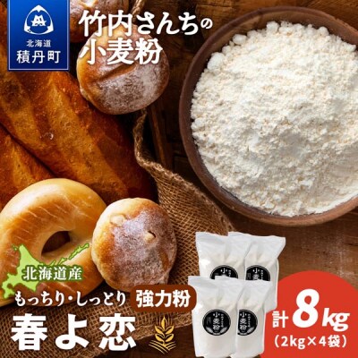 竹内さんちの小麦粉 北海道 春よ恋 2kg×4袋 