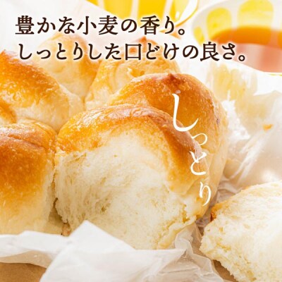 12ヵ月定期便 竹内さんちの小麦粉 春よ恋 1kg×2袋