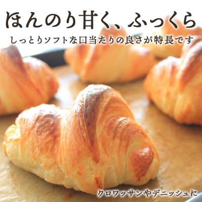 3ヵ月定期便 竹内さんちの小麦粉 春よ恋 1kg×3袋