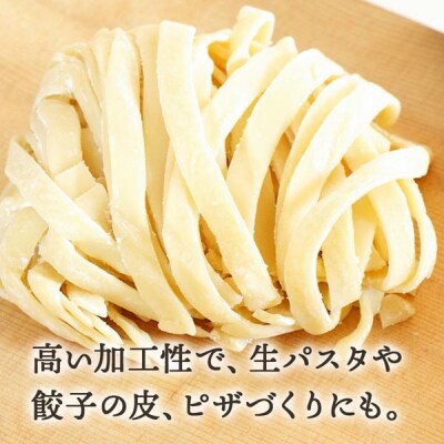 6ヵ月定期便 竹内さんちの小麦粉 春よ恋 2kg×3