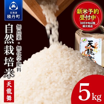 ���� 5kg �V���� ���R�͔|��