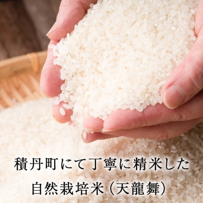  白米 5kg 天龍舞 自然栽培米