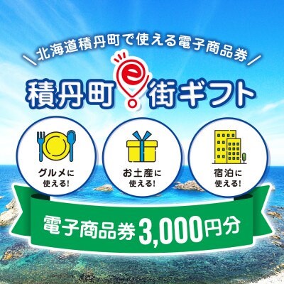 【ふるさと納税】積丹町e街ギフト 3,000円分