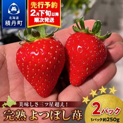 北海道産 完熟よつぼし苺(約250g×2パック)