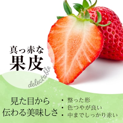 北海道産 完熟よつぼし苺(約250g×2パック)