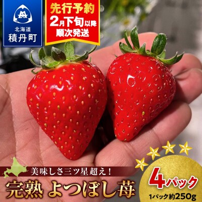 北海道産 完熟よつぼし苺(約250g×4パック)