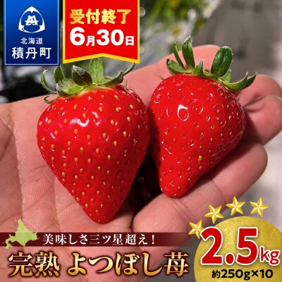 北海道産 完熟よつぼし苺(約250g×10パック)