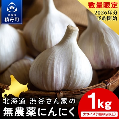 2026年分予約開始!【数量限定】渋谷さん家の★大★「にんにく1kg」