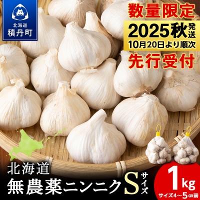 【数量限定】ニンニク “Sサイズ”1kg(500g×2袋)バラ 粒 にんにくガーリック