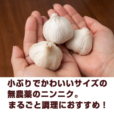 【数量限定】ニンニク “Sサイズ”1kg(500g×2袋)バラ 粒 にんにくガーリック