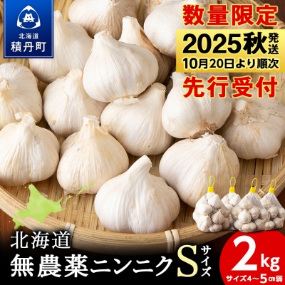 【数量限定】ニンニク“Sサイズ”2kg(500g×4袋)バラ 粒 にんにくガーリック