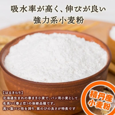 数量限定!竹内さんちの小麦粉【北海道 はるきらり(1kg×3袋)便利な小分け袋でお届け】