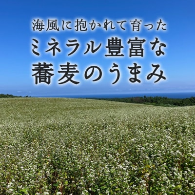 【積丹町そば】4人前≪麺260g×つゆ120g×2セット≫　年越しそば 国産 積丹産 蕎麦 冷凍