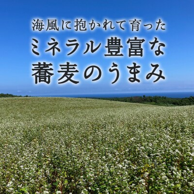 【積丹町そば】8人前≪麺260g×つゆ120g×4セット≫　年越しそば 国産 積丹産 蕎麦 冷凍