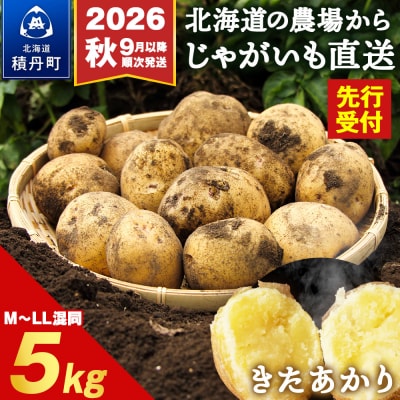 【先行受付 2026年9月より順次発送】北海道積丹町産 じゃがいも きたあかり5kg 栗じゃが