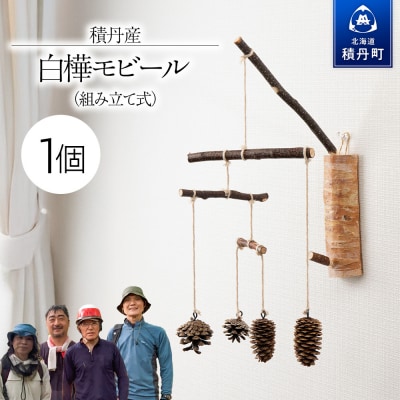 白樺モビール ×1