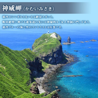 北海道 積丹町☆応援寄付金☆【返礼品なし】50,000円