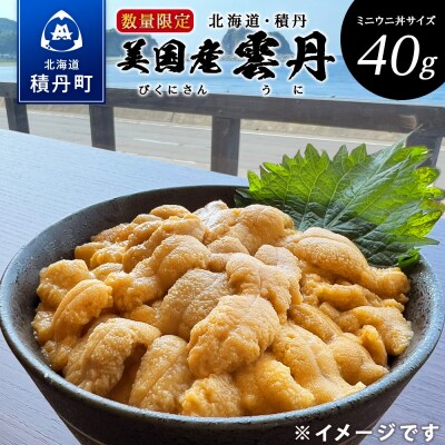 【期間限定】〈2026年発送先行受付〉美国産雲丹40g ミニウニ丼サイズ 北海道 ウニ うに