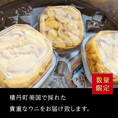【期間限定】〈2026年発送先行受付〉美国産雲丹40g ミニウニ丼サイズ 北海道 ウニ うに