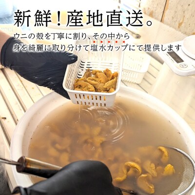 【期間限定】〈2026年発送先行受付〉美国産雲丹40g ミニウニ丼サイズ 北海道 ウニ うに
