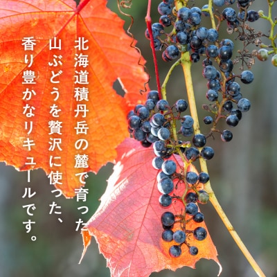 リキュール 山ぶどう お酒 ジン 積丹町