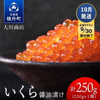 ≪10月発送≫いくら醤油漬け250g1箱＜大川商店＞