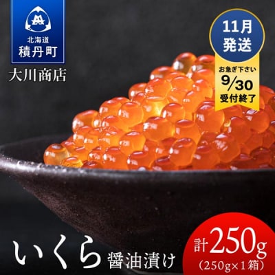 ≪11月発送≫いくら醤油漬け250g1箱＜大川商店＞
