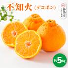 【2026年1月中旬より発送開始】不知火(デコポン) 約5kg(H116137)