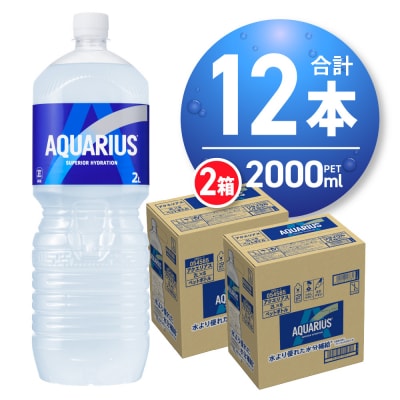 アクエリアス 2000ml PET×12本 ペットボトル 2箱 _hs137-003