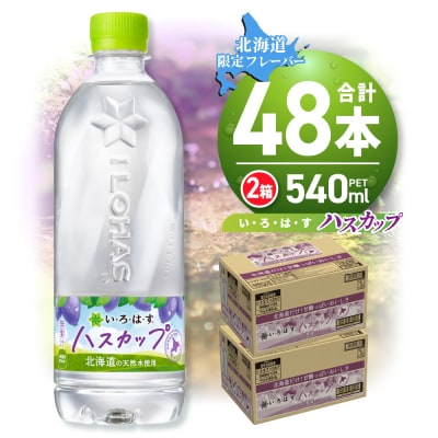い・ろ・は・す ハスカップ　540mlPET×48本_hs137-031
