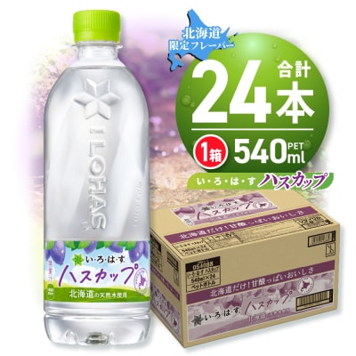 い・ろ・は・す ハスカップ　540mlPET×24本_hs137-040