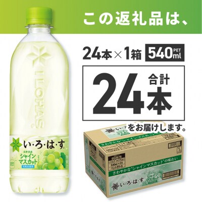 い・ろ・は・す シャインマスカット540mlPET×24本_hs137-041