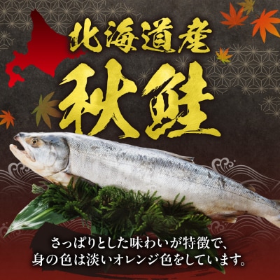 秋鮭フィレ姿切身_hs027-013