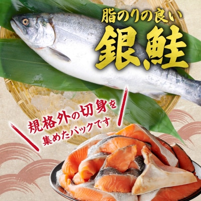 銀鮭骨取切身(不揃い)_hs027-015